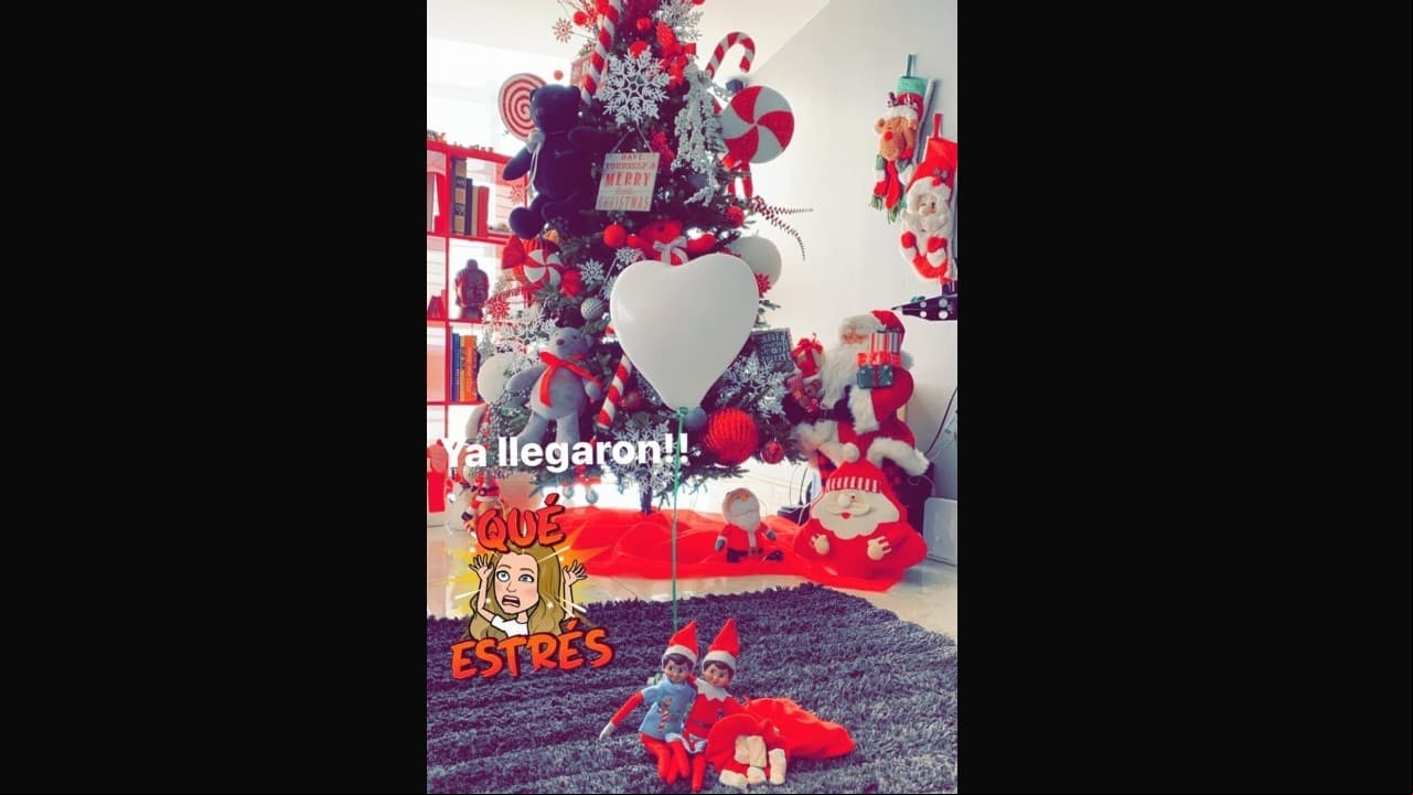 Geraldine Bazán presume la decoración de su árbol de Navidad