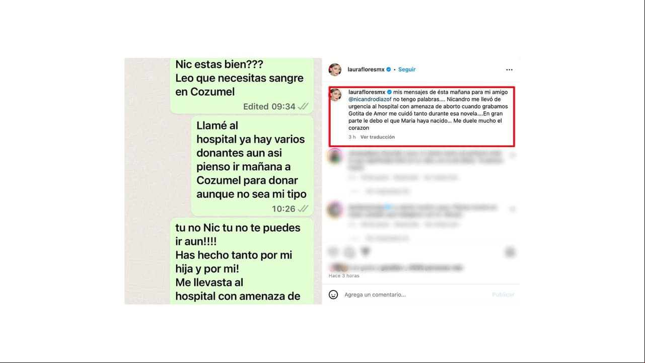 Estos son los mensajes que Laura Flores envió a Nicandro Díaz.