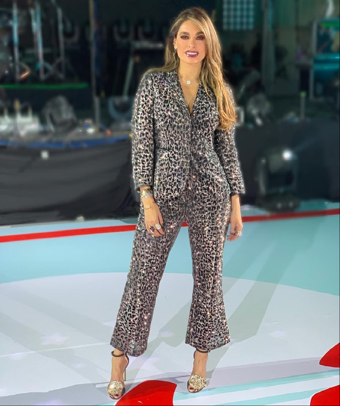 En los útlimos años, Galilea Montijo comenzó a aclarar el tono de su cabello al realizarse delgados reflejos dorados que brindaban más luz a su rostro. No obstante, a principios de 2019 mostró su nuevo cambio de imagen.