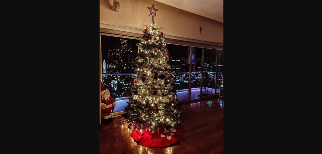 No es el único lugar de la casa que cuenta con una gran vista de la ciudad, este 2020 la pareja mostró su enorme árbol de Navidad y la gran terraza que tienen.
