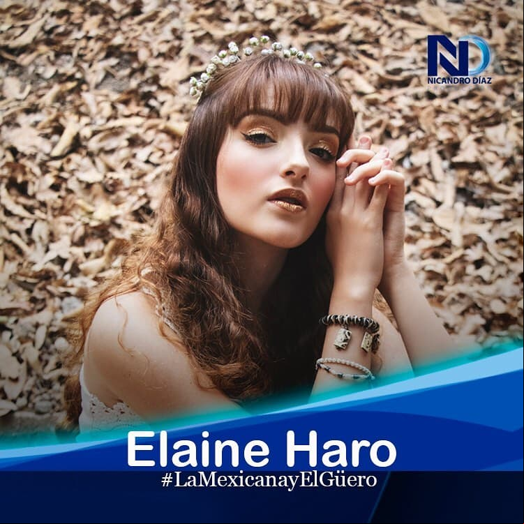 Después de incursionar en la música, Elaine Haro se suma a esta producción de Nicandro Díaz.