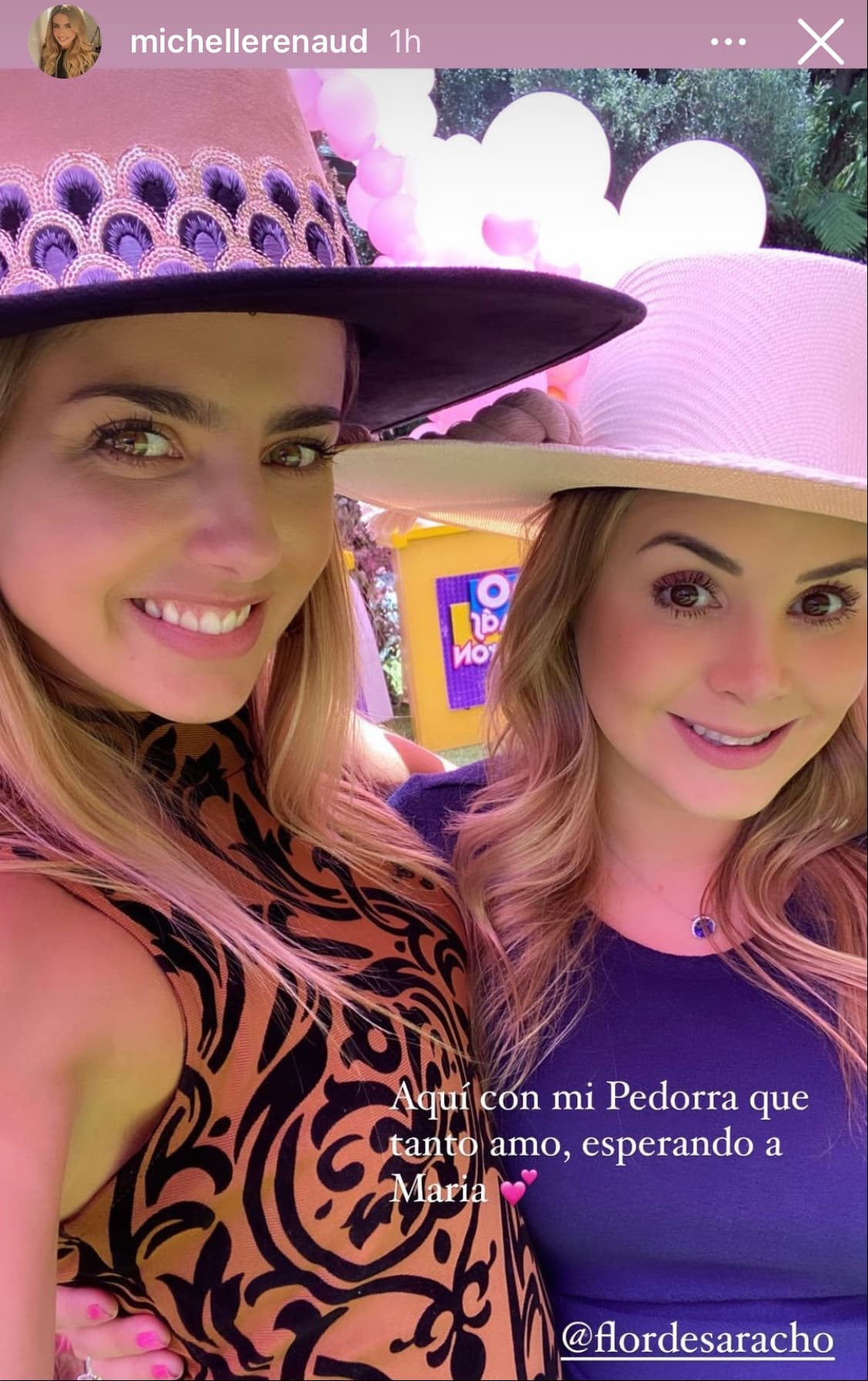 Michelle Renaud, por ejemplo, fue una de las asistentes a este evento, ya que es muy amiga de la futura mamá de María. La actriz colocó una imagen en su cuenta de Instagram y anotó: "Aquí con mi pedorra que tanto amo, esperando a María".