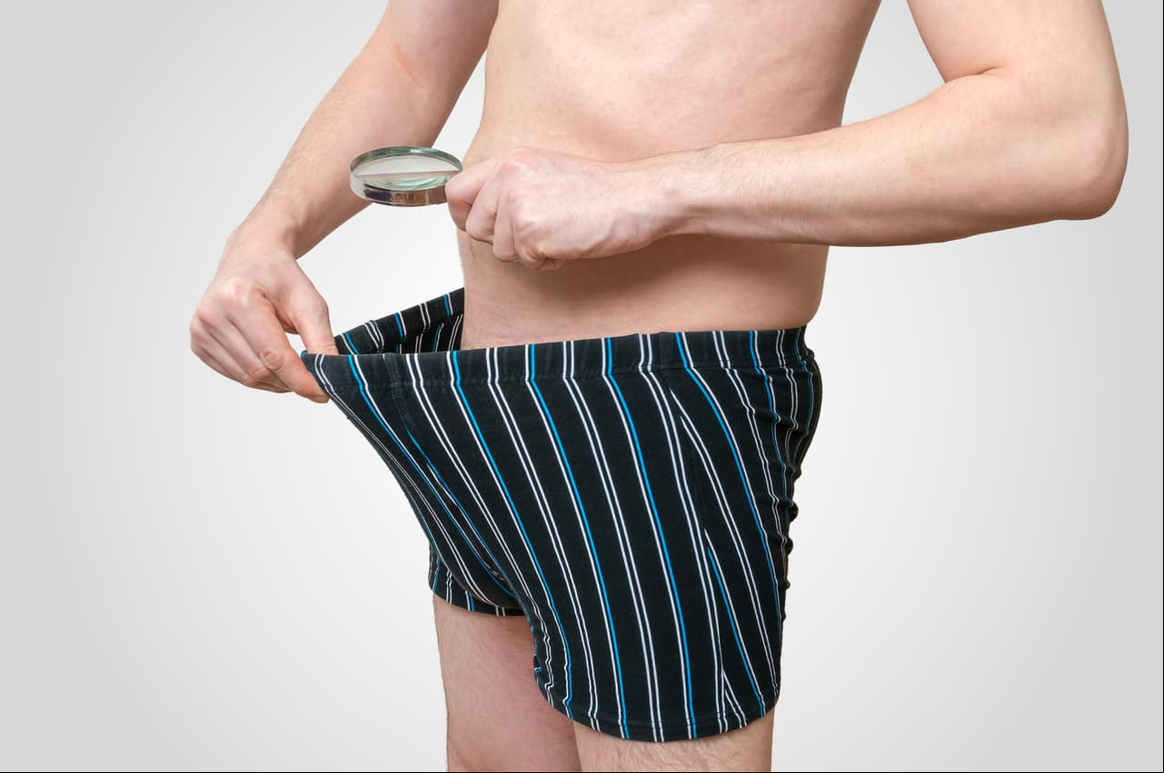 ¿Cómo debería ser el 'pene perfecto'?
