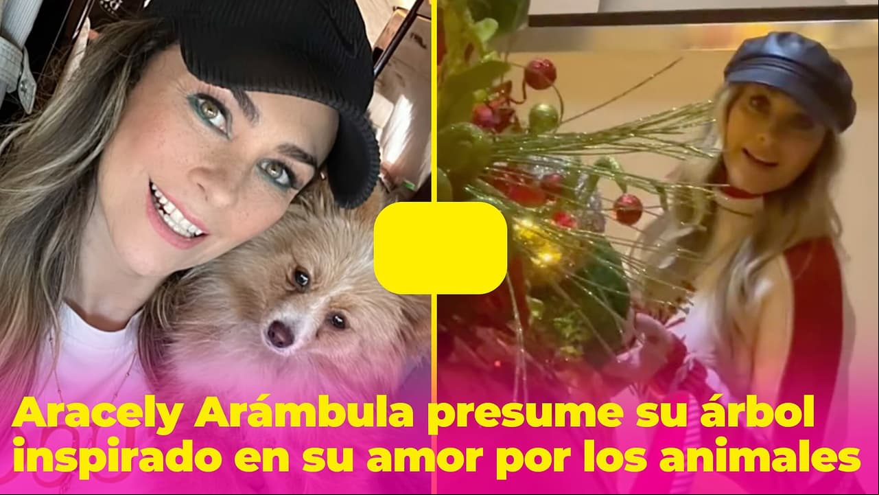 Aracely Arámbula se inspiró en su amor por los animales para decorar su hermoso árbol de Navidad