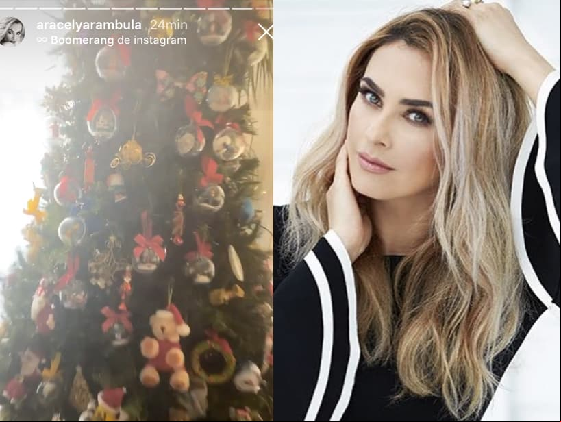 Entre esferas, moños y muñecos de peluche, Aracely Arámbula decoró su árbol de Navidad.