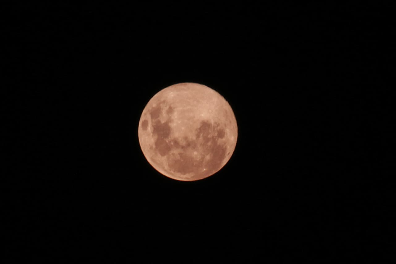 La luna llena de abril, también conocida como la luna rosa, es la más cercana del año en Buenos Aires, Argentina, el 7 de abril de 2020.