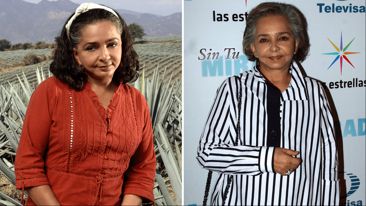 Ana Martín, la inolvidable 'Clarita Herández', ha participado en 10 telenovelas luego de concluir su actuación en 'Destilando Amor'. 'La que no podía amar' en 2011, 'Simplemente María' en 2015 y, recientemente, 'Los pecados de Bárbara' en 2020.