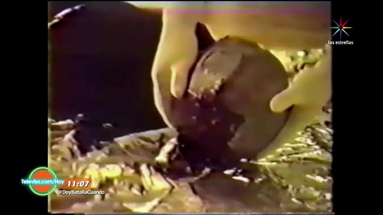 Invasión Alienígena: Momias no humanas "segunda parte"