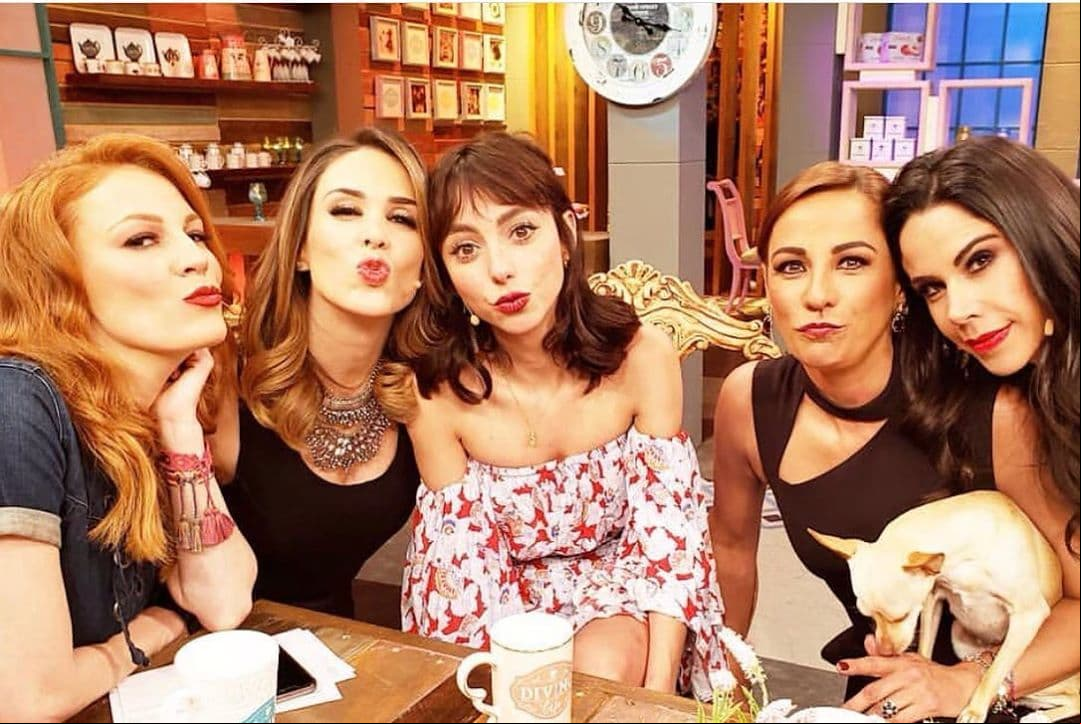 En la actualidad podemos verla junto a Natalia Téllez, Paola Rojas, Consuelo Duval y Daniela Magún en ‘Netas Divinas’.