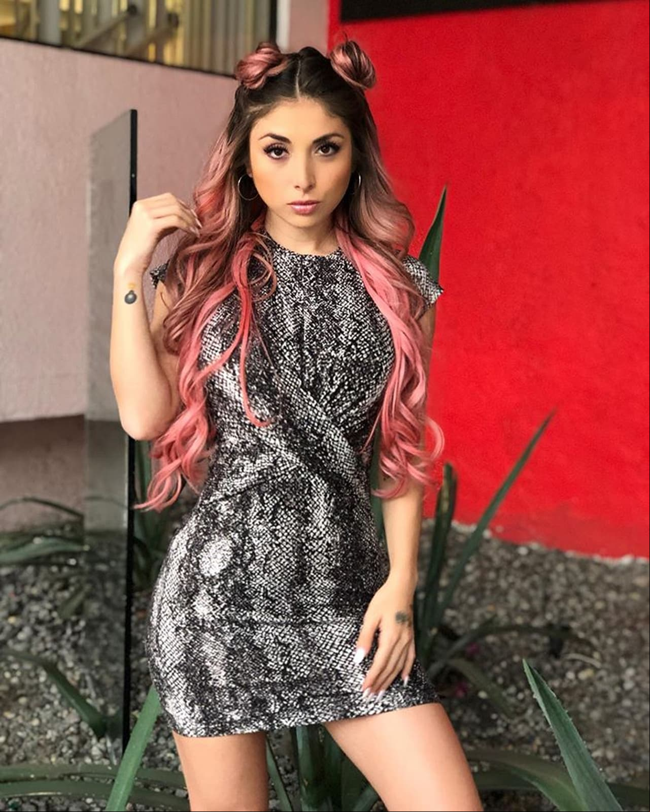 Tania Gattas anuncia que está embarazada
