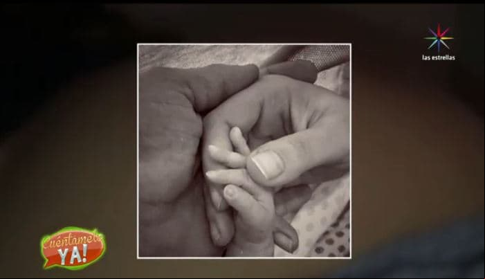¡Julián Gil le ganó a Marjorie de Sousa!