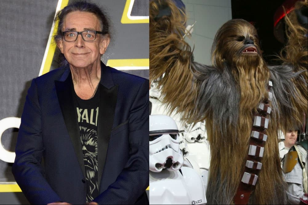PETER MAYHEW El famoso actor que interpretó a Chewbacca desde la trilogía original de Star Wars, murió el pasado 30 de abril a los 74 años de edad, anunció su familia en la cuenta oficial de Twitter, donde detalló que el histrión falleció de una enfermedad cardiaca en su hogar de Texas junto a familiares y amigos.