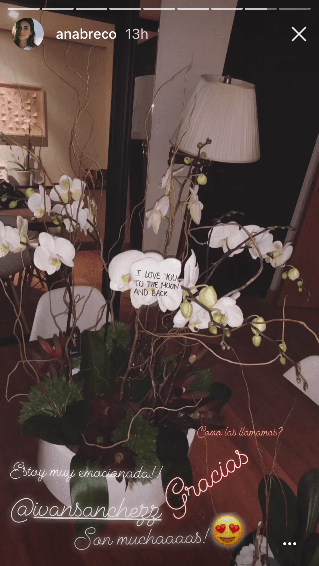 Ana Brenda recibió un tierno regalo en San Valentín