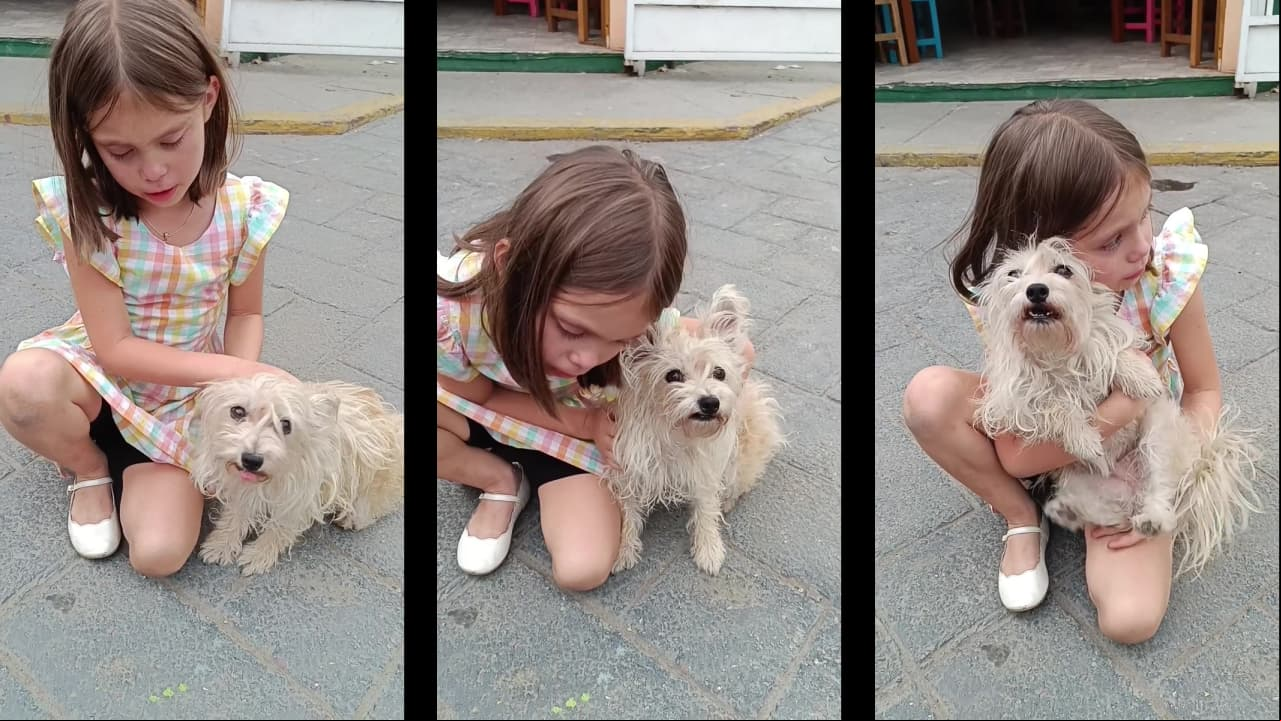 'Sam' de El amor no tiene receta llora al decirle adiós a 'Cobija'