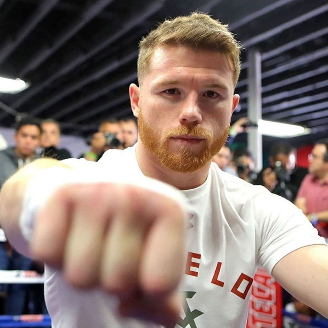 ‘Canelo’ Álvarez presume al nuevo integrante de su familia; un gatito ¡de miles de pesos!