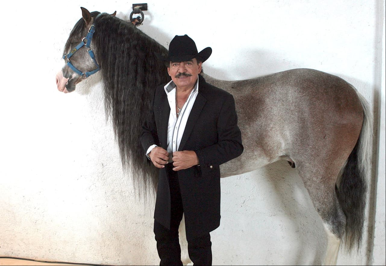 En dicha entrevista, Sotelo también dijo que se preveía, en ese entonces, la repartición en partes iguales de los inmuebles que poseía el cantante en Veracruz, Guerrero y Morelos. “Se llamará a todos los coherederos para decirles cuáles son los inmuebles, saber qué valor tienen y, si alguno está interesado, para que los demás obtengan un inmueble con el mismo valor, y si es menor, darles la diferencia con otros inmuebles", explicó.