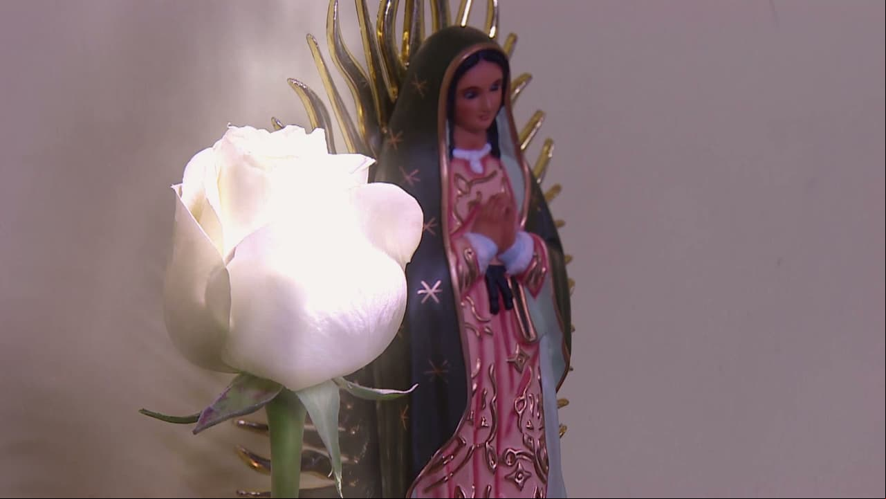 MARATÓN: La Rosa de Guadalupe