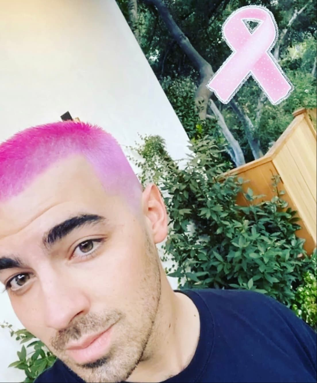 Del mismo modo, Joe Jonas, integrante de The Jonas Brothers y DNCE, también decidió dejar atrás su color natural de pelo para teñirlo de rosa. Sin embargo, parece que esta decisión fue en apoyo a la prevención del cáncer de mama, la cual se celebra en el mes de octubre a nivel mundial.