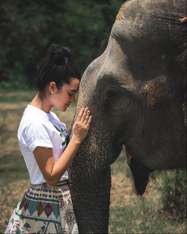 La actriz visitó Elephant Retirement Chiang Mai, un lugar donde cuidan a los elefantes, así lo contó en su publicación de Instagram: “Durante la planeación de este viaje nos enfocamos mucho en buscar un lugar donde los elefantes no fueran parte de la diversión de las vacaciones, solo queríamos pasar un día en la vida de ellos sin modificar su rutina y hábitos diarios”.
