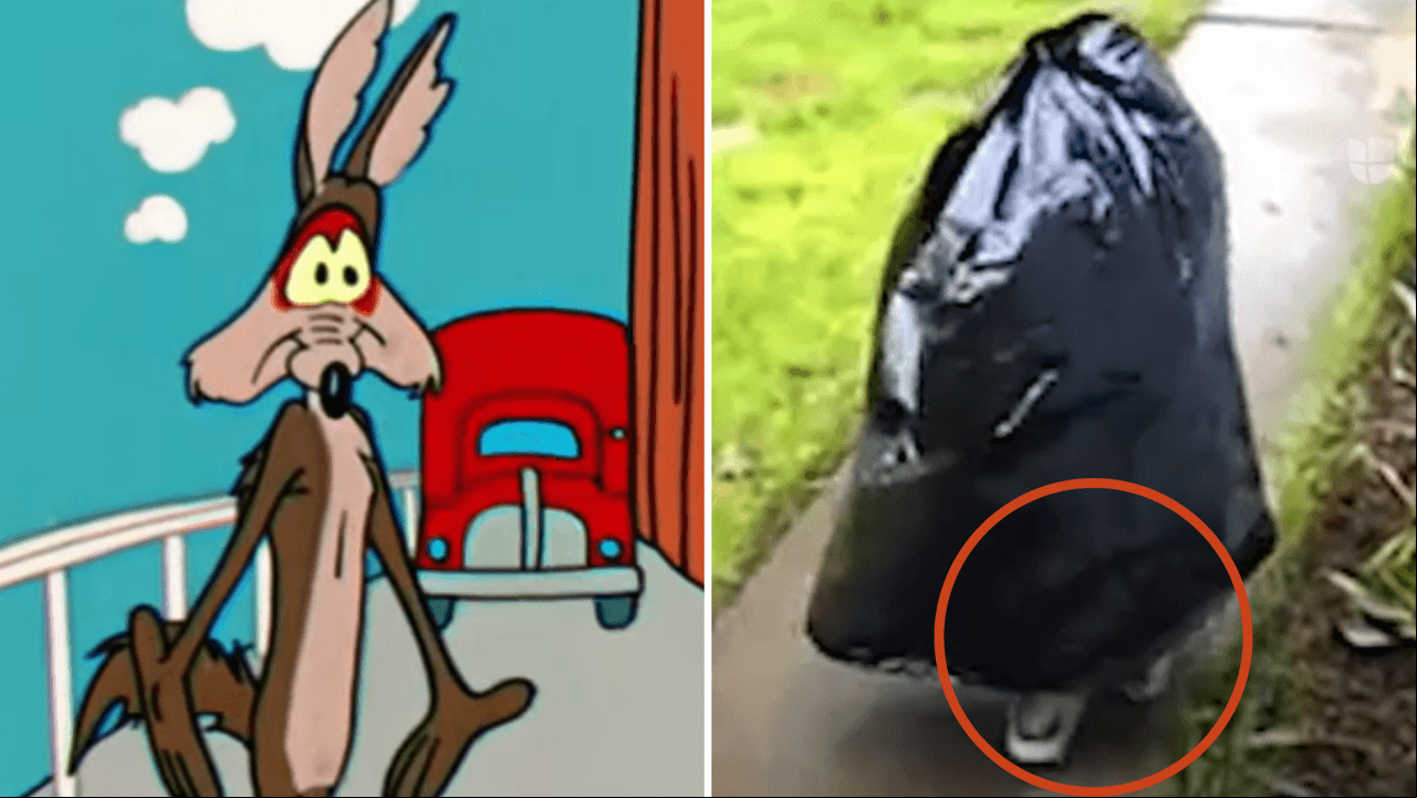 Ladrón se disfraza de bolsa de basura para robar a su vecino y se convierte en la burla de redes