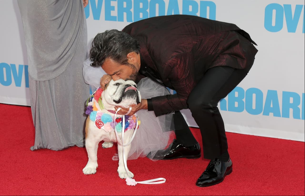 La familia Derbez se dio cita también: Aislinn, su esposo Mauricio Ochmann, Vadhir y por supuesto, Aitana. Aquí la famosa Fiona, también llegó muy 'ad hoc' a la alfombra.