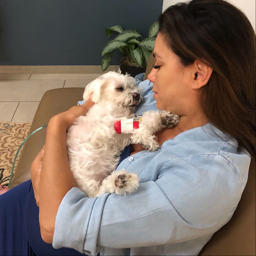 Eva Longoria devastada por la muerte de ‘Jinxy’