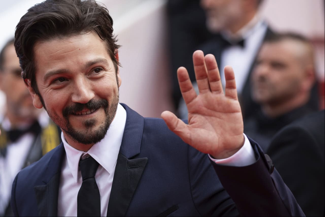 El actor realizó otras telenovelas como Ángeles sin paraíso (1993) o El Premio mayor (1995), pero poco tiempo abandonó el género para dedicarse principalmente al cine, donde ha destacado en cintas tanto mexicanas como de Hollywood, por ejemplo: Rogue One: Una historia de Star Wars (2016), Elysium (2013), Casa de mi padre (2012), Milk (2008), Rudo y Cursi (2008), entre muchas más.