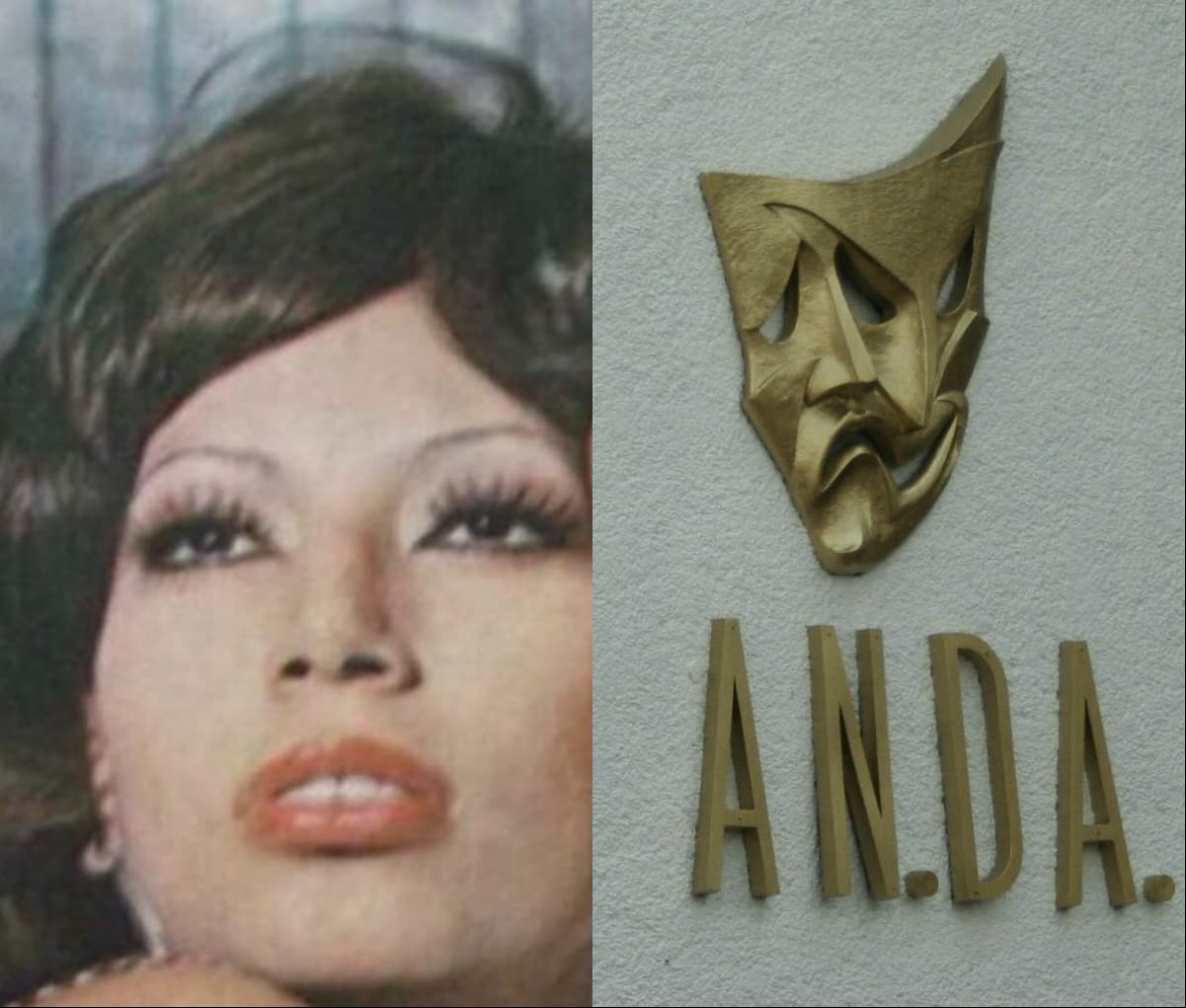 Emilia Martell, actriz del cine de oro, se quita la vida en la ANDA