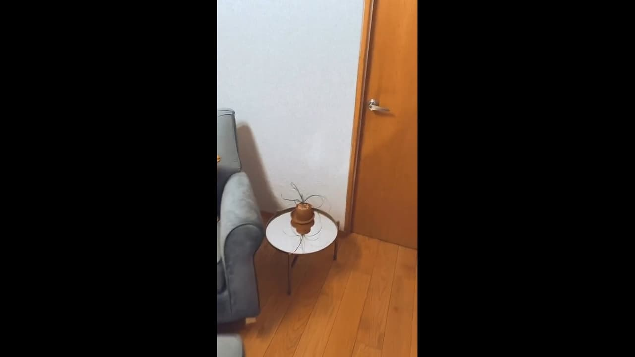 “Ahí está la pañalera lista para que en cualquier momento nos vayamos al hospital. La macetita que compré”, señaló mientras mostró algunas de las decoraciones.