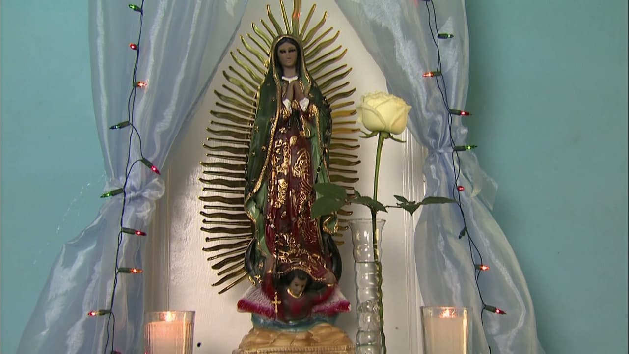 MARATÓN: Revive tus capítulos de La Rosa de Guadalupe