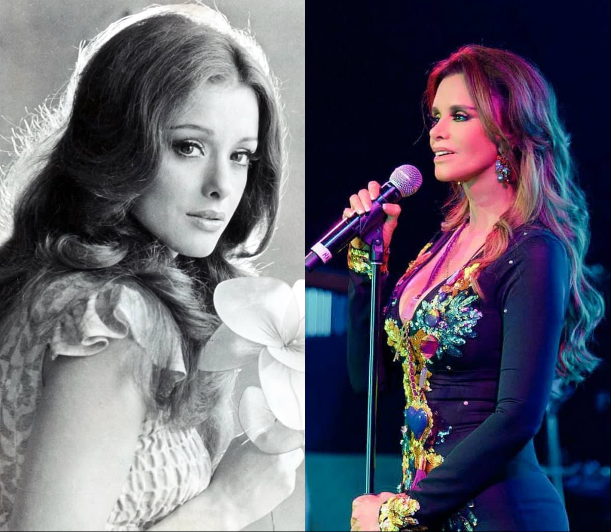 La cantante Lucía Méndez se sometió a varias cirugías plásticas