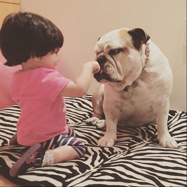 “Wow, esa niña tiene un ángel”, “Bellas”, “Hermosos todos, pero especialmente la niña y Fiona”, “Es una belleza de perrita”, “Qué chulada”, “Fiona está hermosa”, “Fiona es tan linda”, “Toda consentida Fiona”, señalaron los fans.