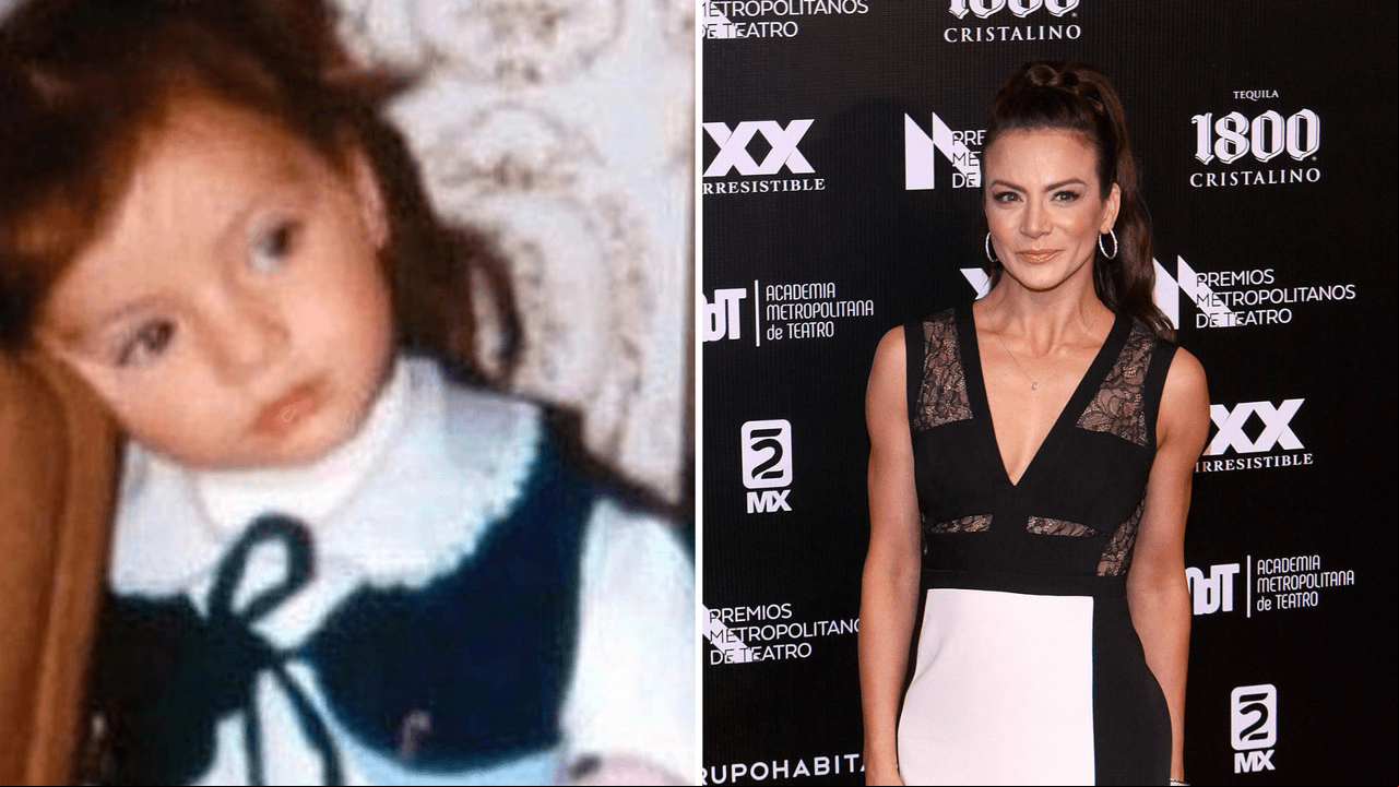 Considerada una de las mejores actrices en México, Silvia Navarro nació el 14 de septiembre de 1978 e incursionó en el mundo artístico cuando solo era una niña.