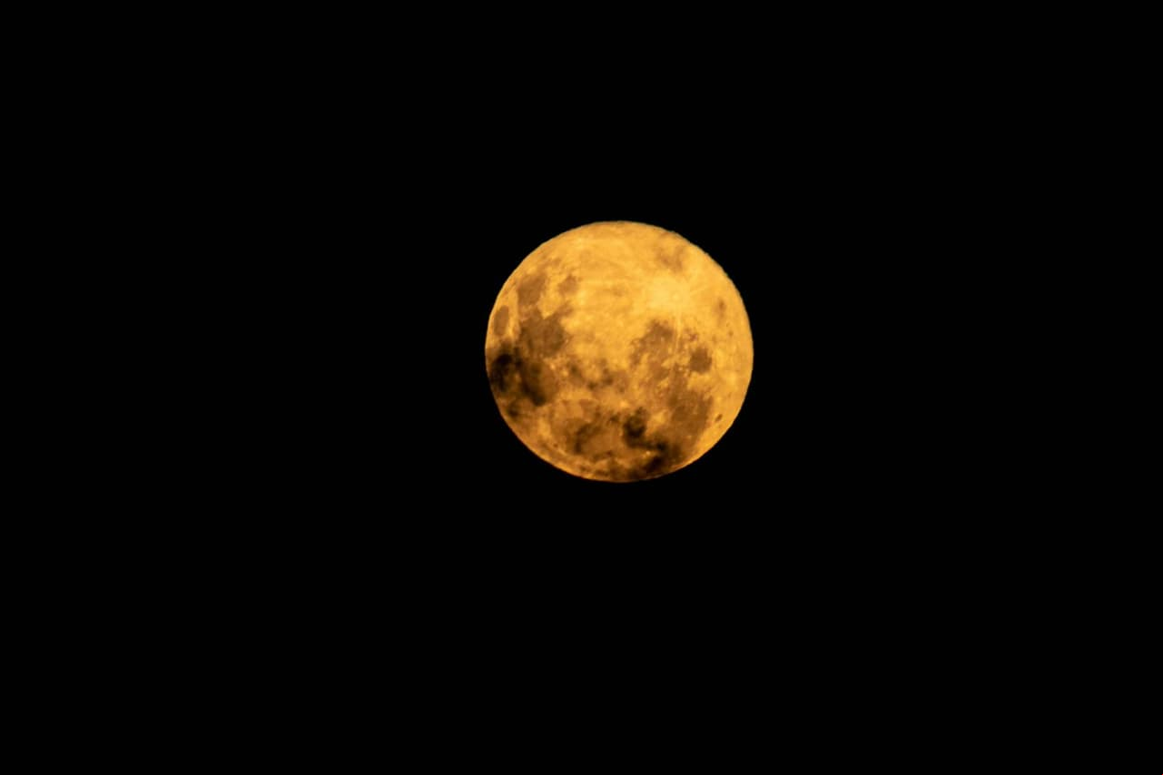 ¿Qué es la Luna Lobo y cuándo se podrá ver? Aquí te lo decimos