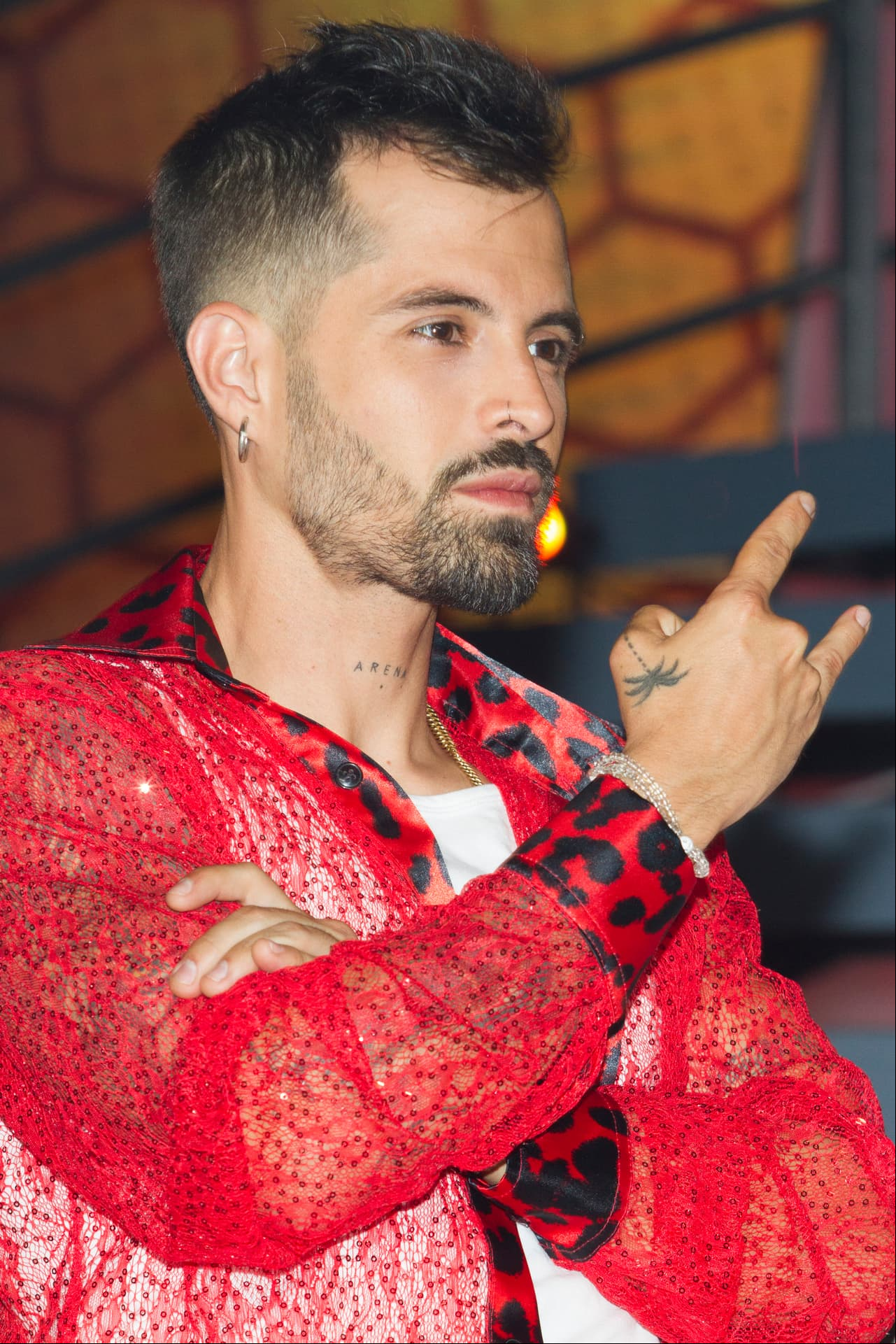 Mike Bahía es cantante pero apasionado del arte, está dispuesto a dar lo mejor de sí mismo para lograr éxito dentro de la competencia.
