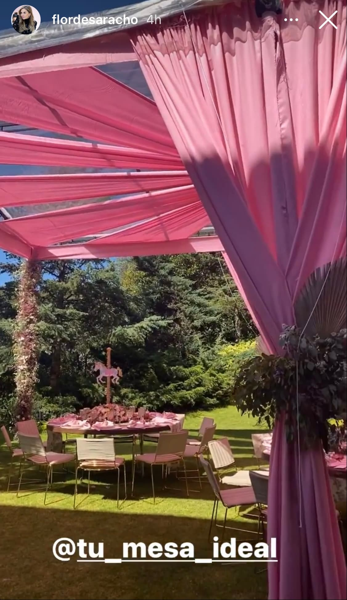 Incluso, las mesas del festejo, donde degustaron varios platillos, también fueron decoradas con elementos rosas y hasta centros de mesas con caballitos de carrusel.